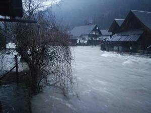 Mostnica (avtor fotografije Katarina Zalokar)